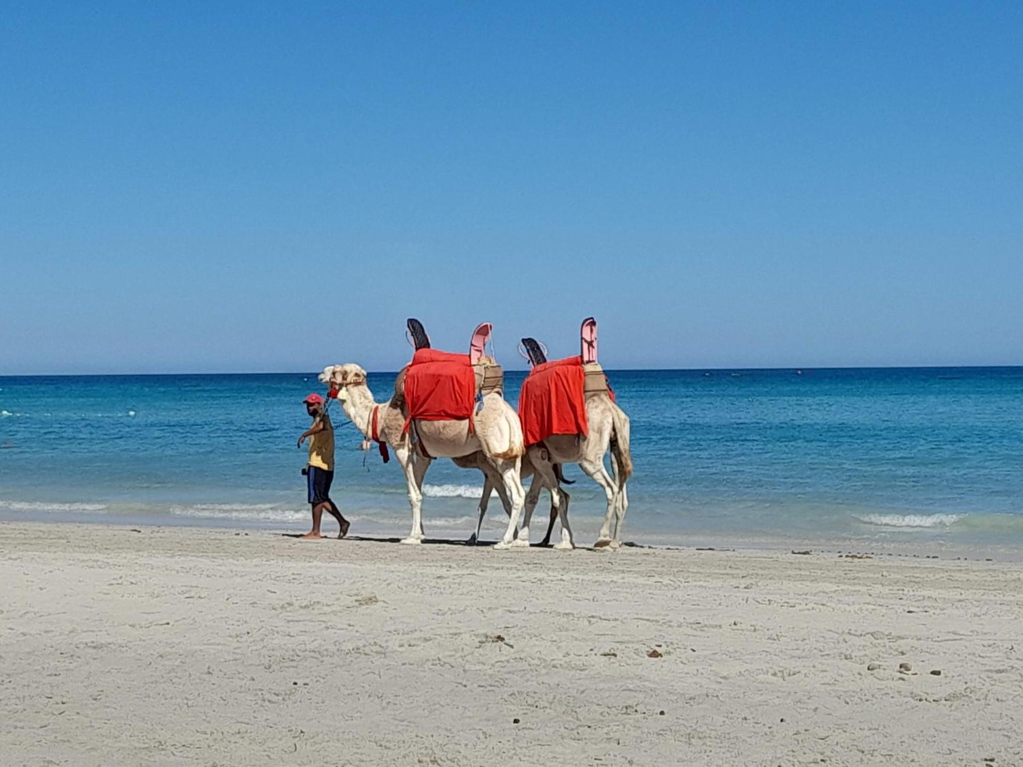 Hotel Dar El Kahina Djerba à Mezraia Extérieur photo